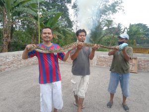 IMG-20220213-WA0002