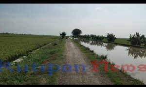 IMG-20220513-WA0091