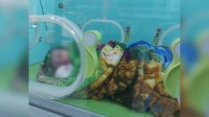 IMG-20220711-WA0002