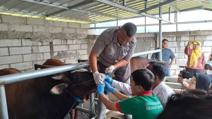 WhatsApp Image 2022-07-08 at 17.32.57