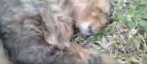 WhatsApp Image 2022-08-18 at 14.49.36