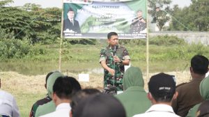 IMG-20221128-WA0032