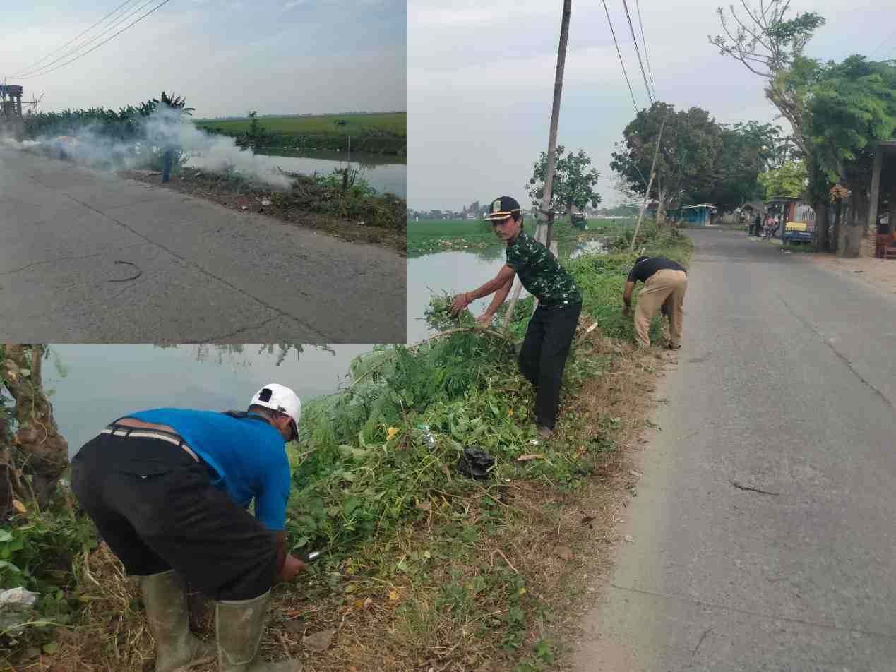 WhatsApp Image 2022-12-16 at 14.09.48