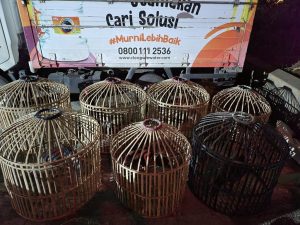 IMG-20230109-WA0019