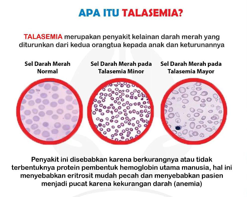 WhatsApp Image 2023-01-02 at 15.09.56