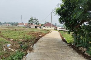 IMG-20231129-WA0002
