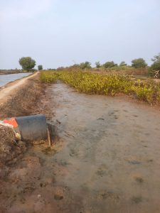 IMG-20231217-WA0011