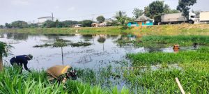 IMG-20241028-WA0101