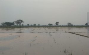 IMG-20250414-WA0030