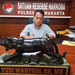 IMG-20250723-WA0011