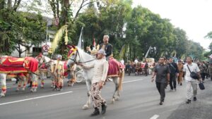 IMG-20250819-WA0029
